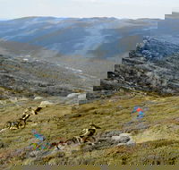 Thredbo Mountain Biking - Rental Cars