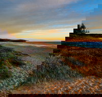 Werri Beach and Point - Rental Cars