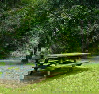 Williams River picnic area - Rental Cars