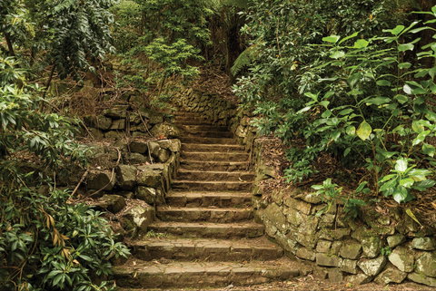 William Ricketts Sanctuary - Rental Cars 1