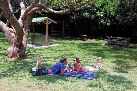 Abrahams Bosom Reserve - Rental Cars 1