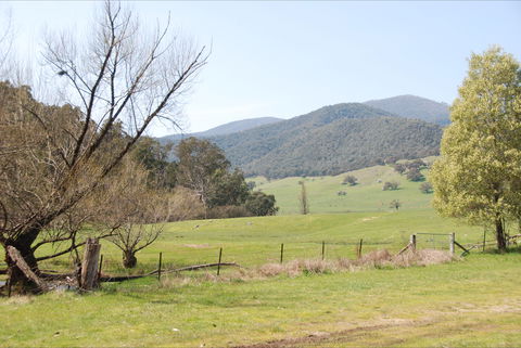 Banimboola Creek Rest Area - Rental Cars 0
