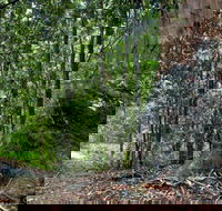 Blue Gum loop trail - Rental Cars