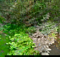 Brindle Creek Picnic Area - Rental Cars