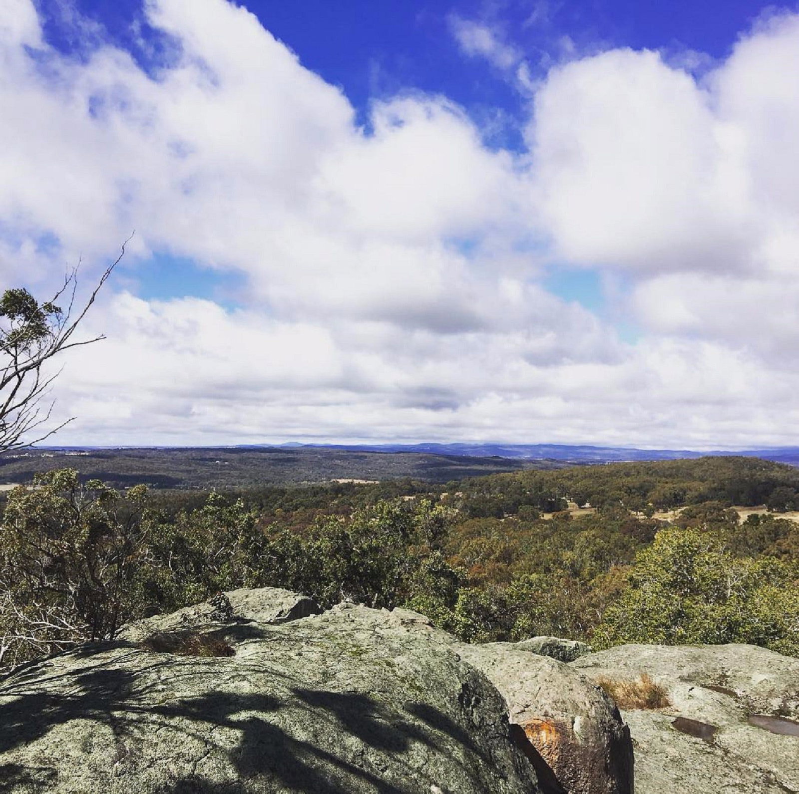 Pozieres QLD Rental Cars