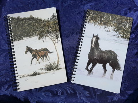 Dungog Arts Society - Rental Cars 2