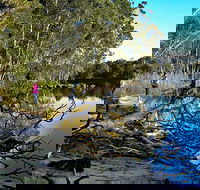 Five Islands Walking Track - Rental Cars