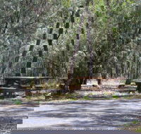 Goonoowigall State Conservation Area - Rental Cars