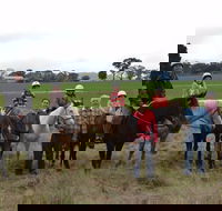 High Country Trail Rides - Rental Cars