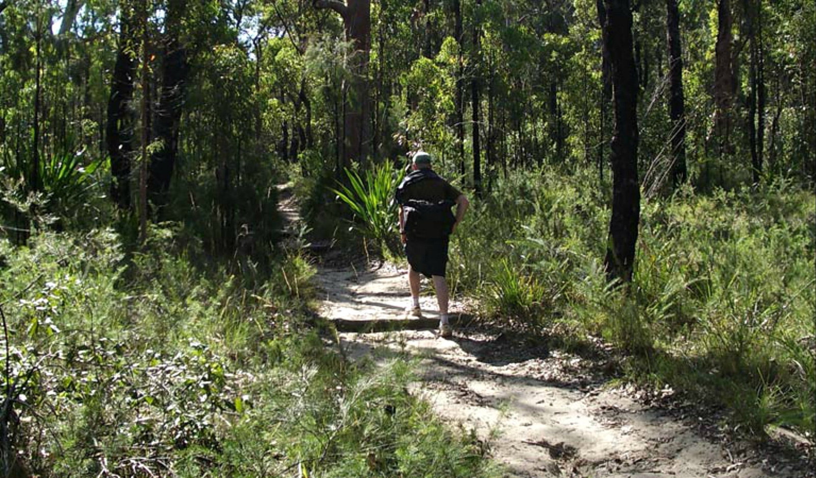 Heathcote NSW Rental Cars