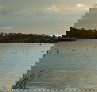 Lake Inverell Reserve - Rental Cars