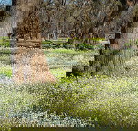 Leaghur State Park - Rental Cars