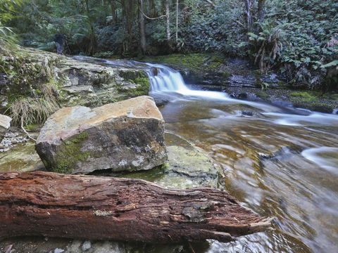 Liffey Falls Reserve - Rental Cars 0