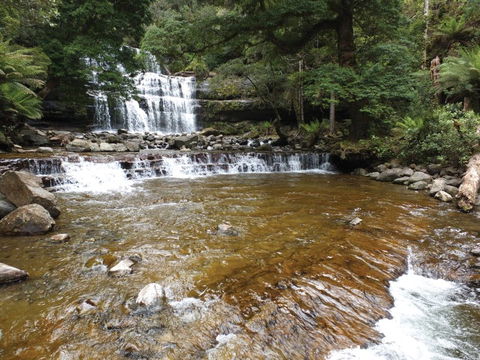 Liffey Falls Reserve - Rental Cars 1