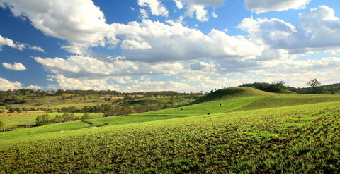 Lions Park, Hodgson Vale - Rental Cars 0