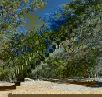 Maidens Tuart Forest - Rental Cars