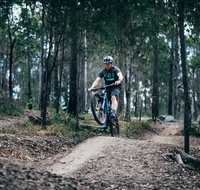 Nerang Mountain Bike Trails - Rental Cars