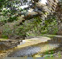 Saltwater National Park - Rental Cars