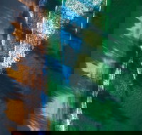 South Coast Experiences - Rental Cars