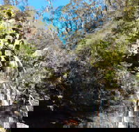 Waterfall Walk Kanangra-Boyd National Park - Rental Cars