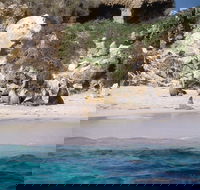 Australian Sea Lions - Rental Cars