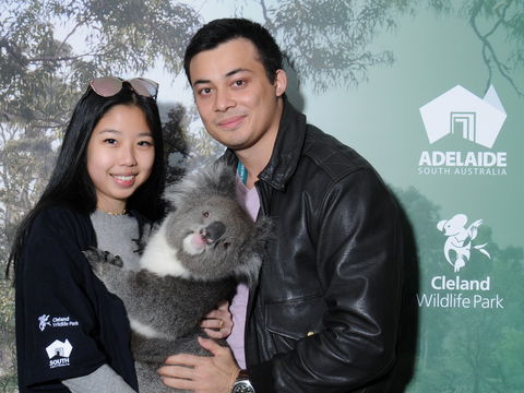 Cleland Wildlife Park - Koala Hold - Rental Cars 0