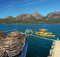 Coles Bay - Rental Cars