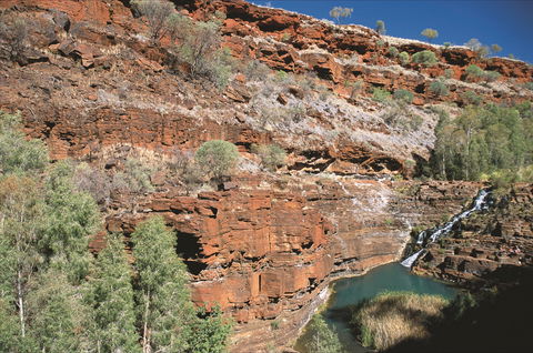 Fortescue Falls - Rental Cars 2