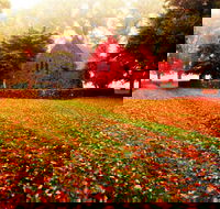 Gostwyck Chapel - Rental Cars