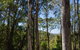 Hidden Treasure Picnic Area - thumb 0