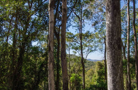 Hidden Treasure Picnic Area - Rental Cars 0