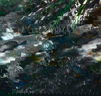 Howard Springs Nature Park - Rental Cars