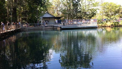 Howard Springs Nature Park - Rental Cars 1