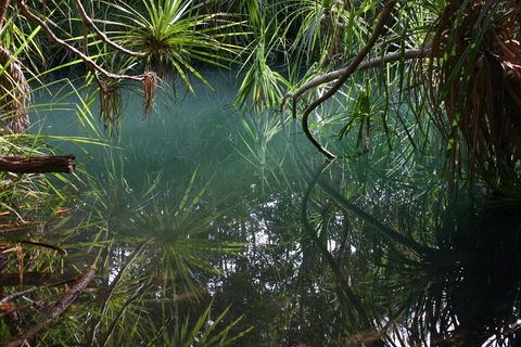 Howard Springs Nature Park - Rental Cars 2