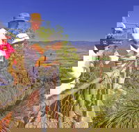 Moogerah Peaks National Park - Rental Cars