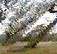 Moolarben Picnic Area