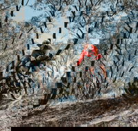 Mountain Bike Trails Deniliquin - Rental Cars