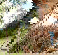 Pilliga Forest - Rental Cars