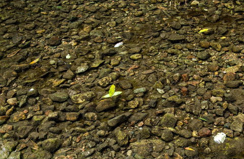 Potoroo Falls Picnic Area - Rental Cars 0