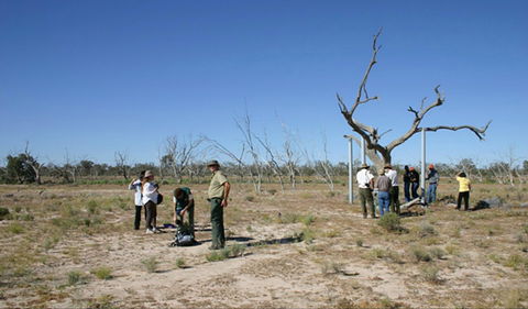 Sturt's Tree Walk - Rental Cars 0