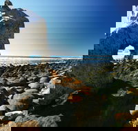 Wallabi Point - Rental Cars