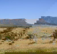 Bluff - Rental Cars