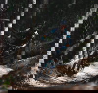 Boomerang Farm Bike Park - Rental Cars