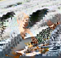 Boonah - Rental Cars