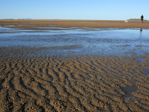 Far Beach - Rental Cars 1