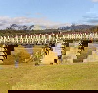Historic Tabulam DeBurgh Timber Bridge - Rental Cars