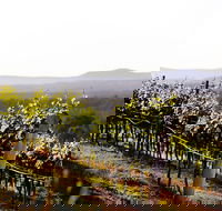 Mount View - Rental Cars