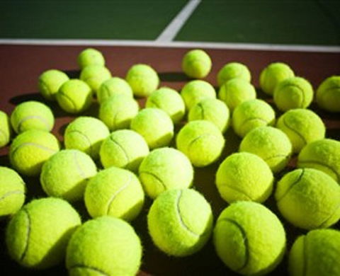 Old Bar Tennis Club - Rental Cars 0