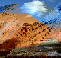 Red Banks Conservation Park - Rental Cars