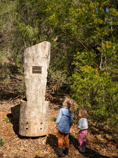 Rotary Peace Precinct - Rental Cars 1